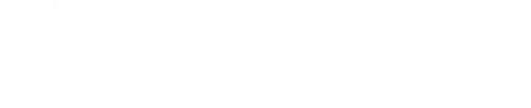 perplexity